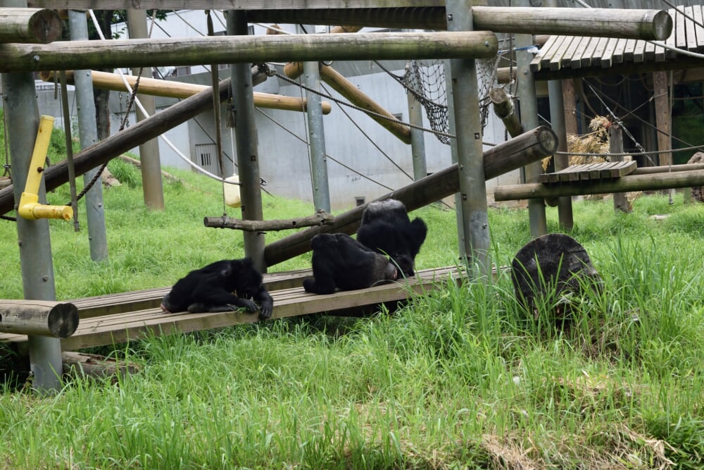 東京都 多摩動物公園の写真4