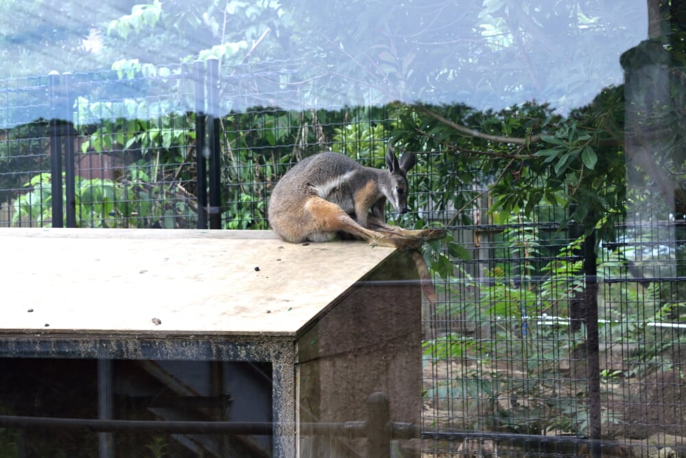 東京都 多摩動物公園の写真5