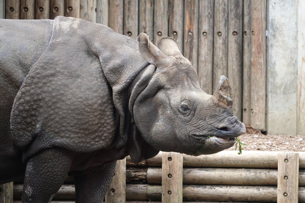 東京都 多摩動物公園の写真6