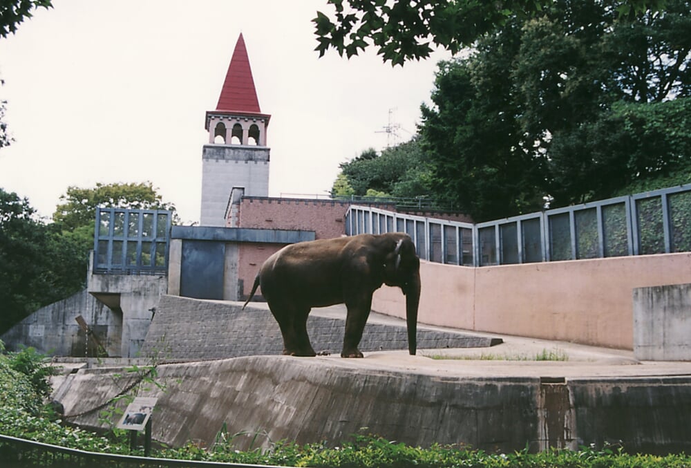 東京都 多摩動物公園の写真7