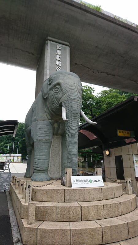 東京都 多摩動物公園の写真8