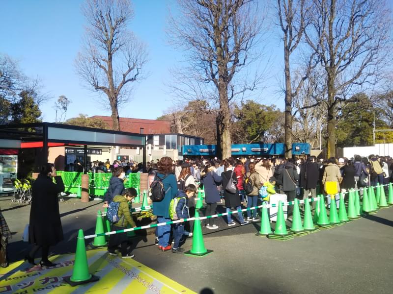 恩賜上野動物園の写真2