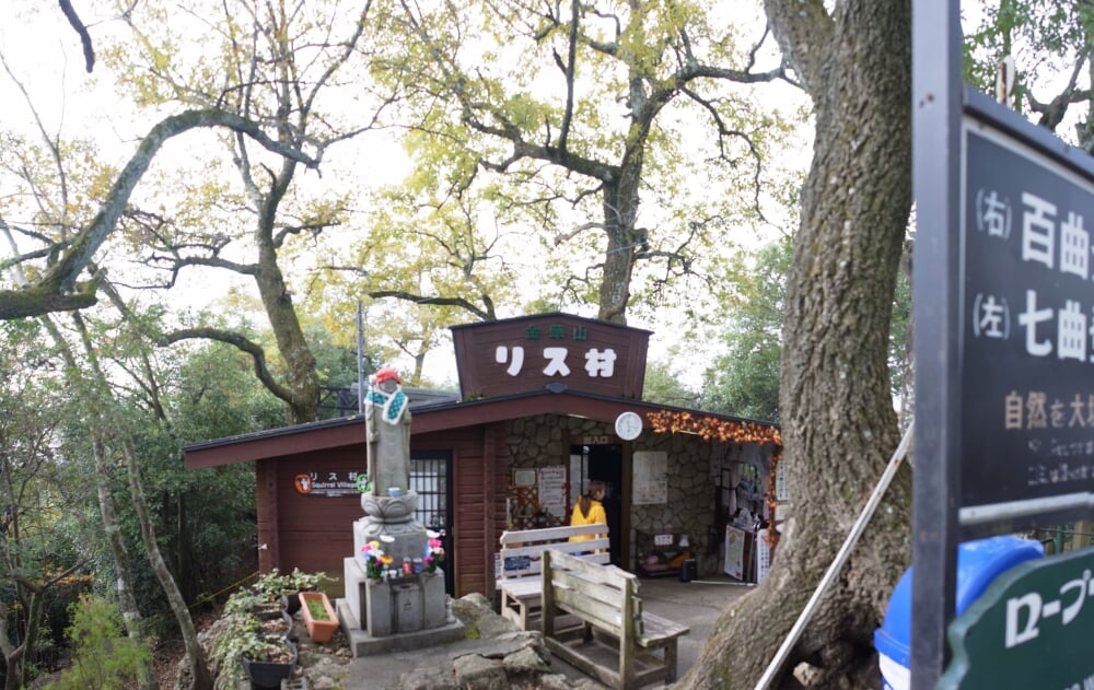 金華山 リス村の写真4