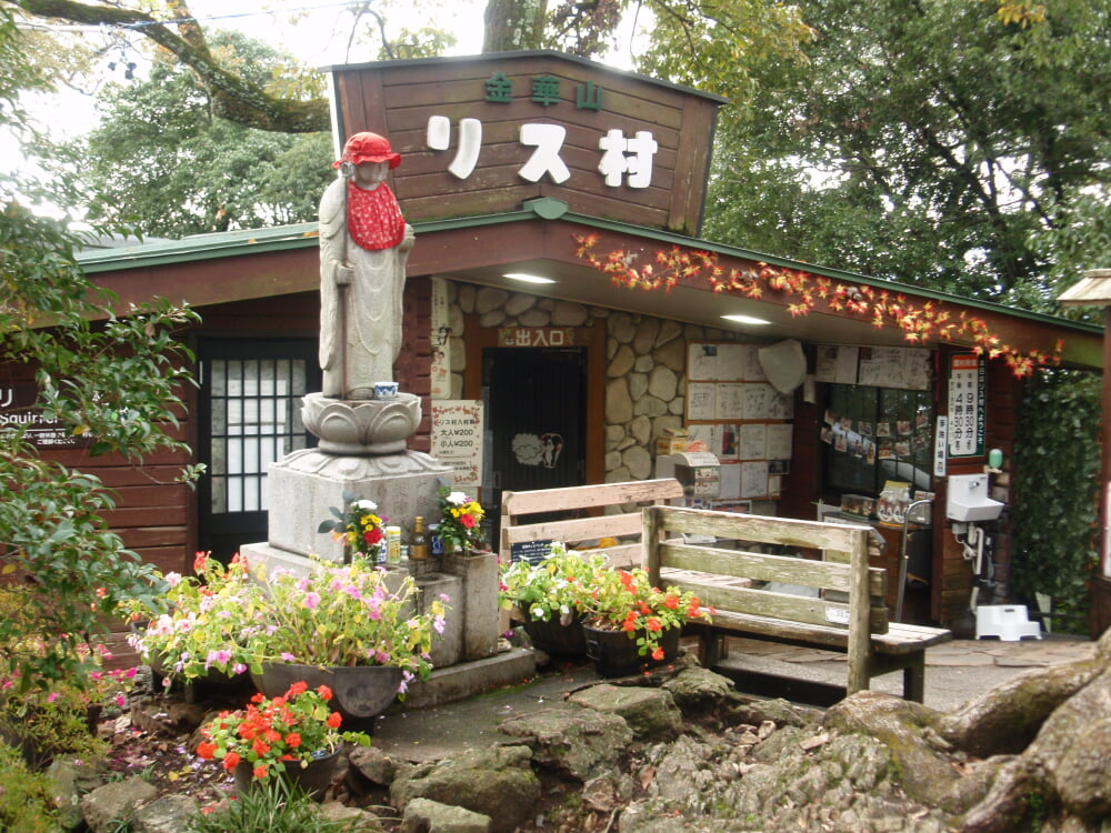 金華山 リス村の写真1