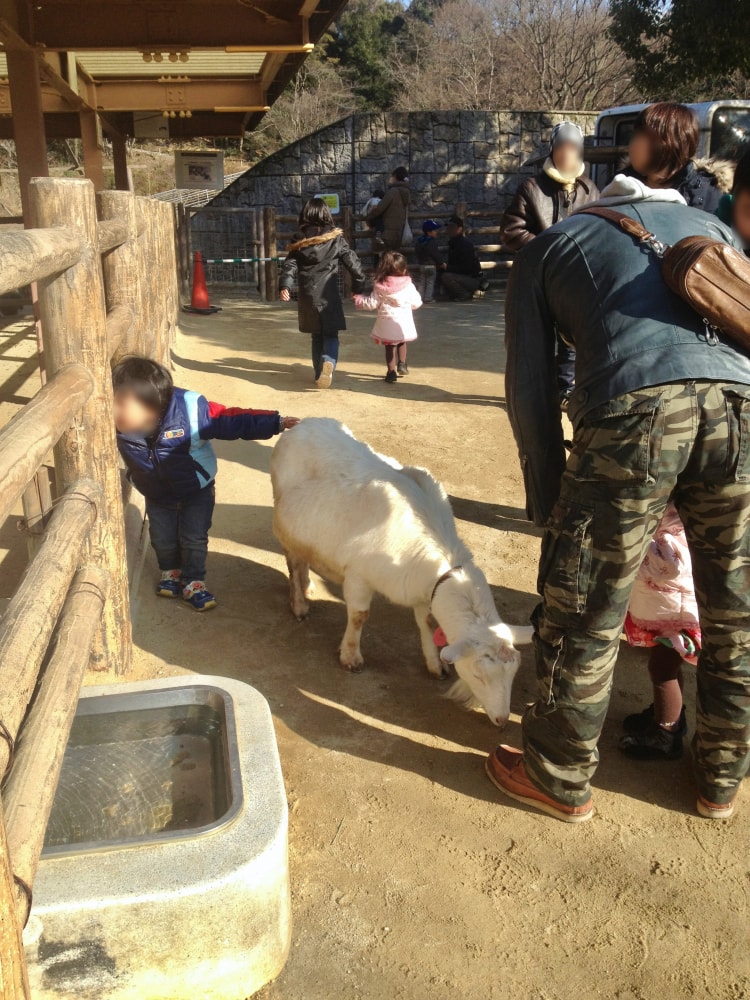 東山動植物園の写真3