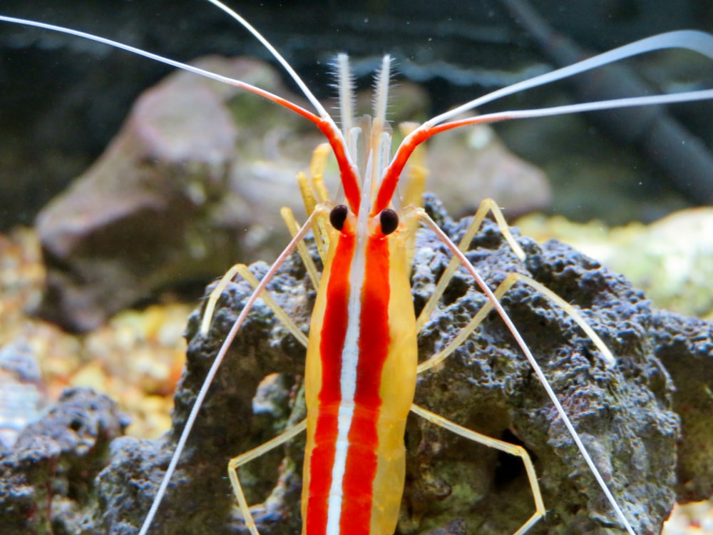 東山動植物園の写真4