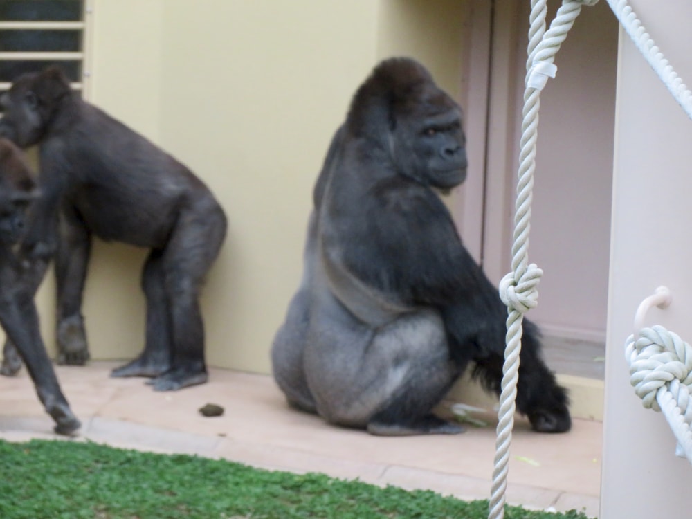 東山動植物園の写真8