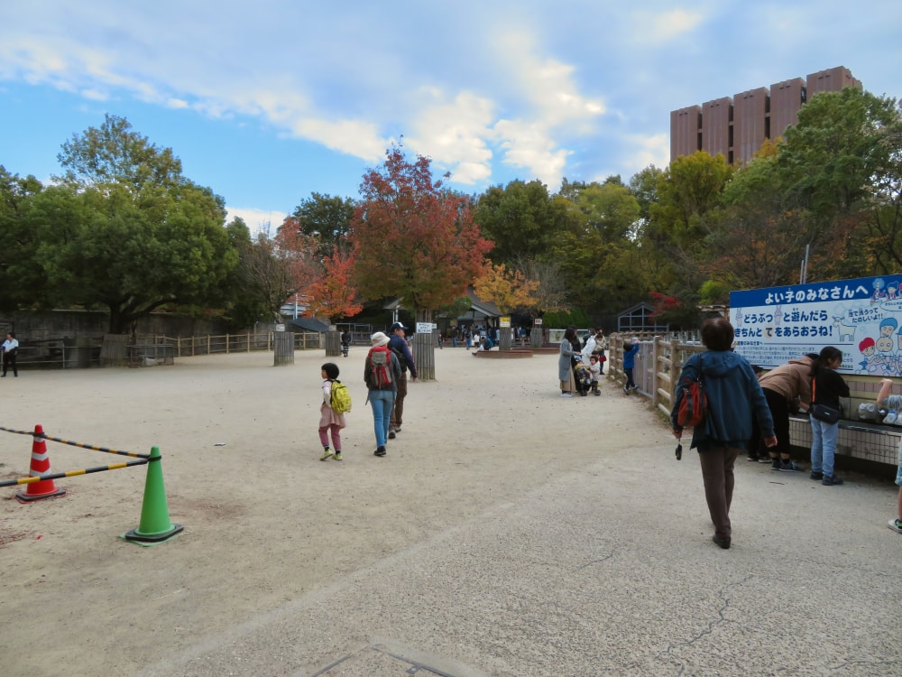 東山動植物園の写真15