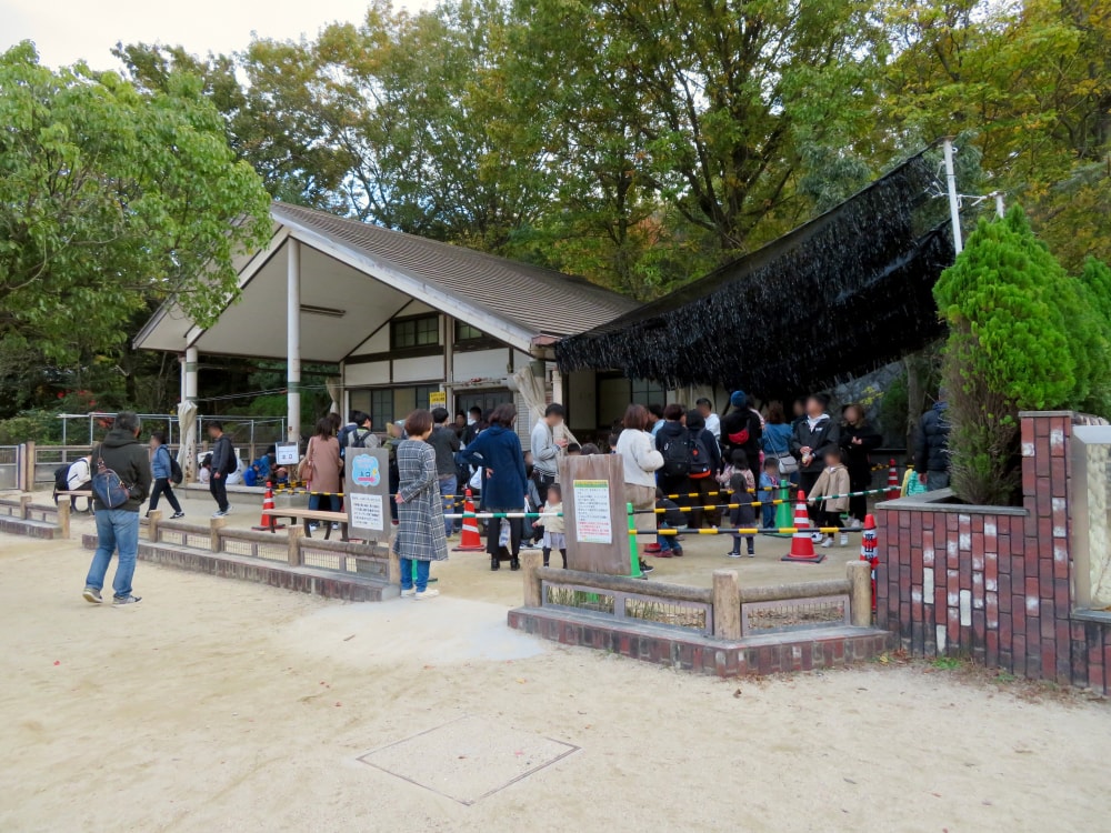 東山動植物園の写真17