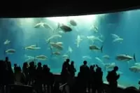葛西臨海水族園