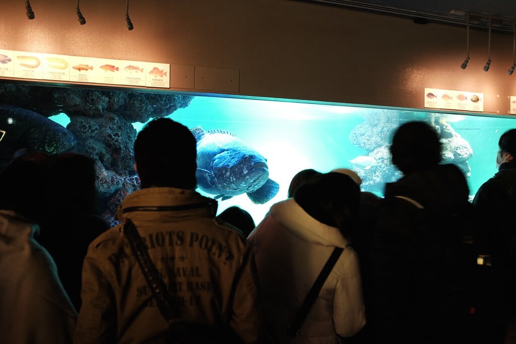 葛西臨海水族園の写真7