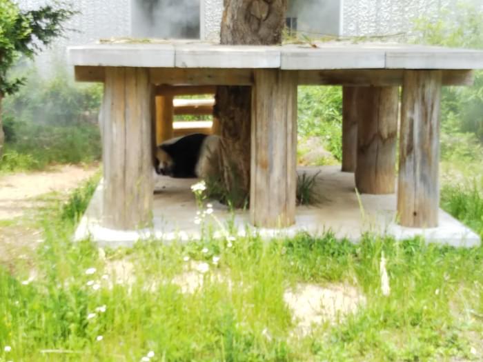 神戸市立王子動物園の写真3