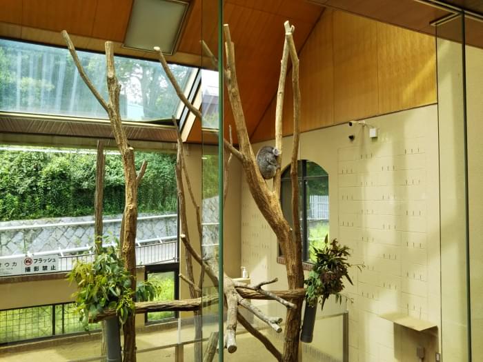 神戸市立王子動物園の写真6