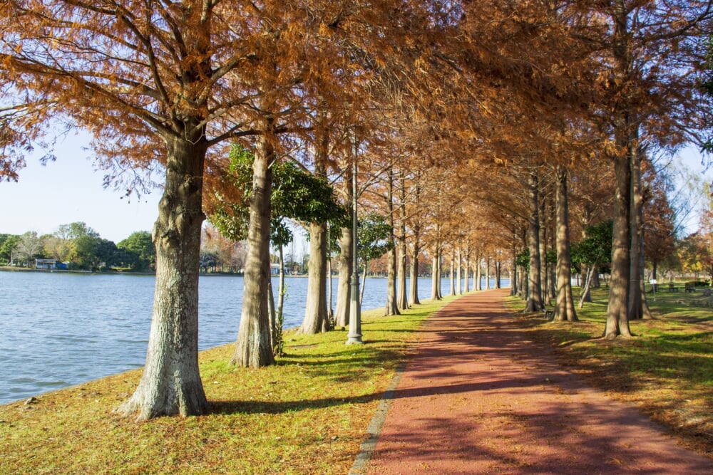 みさと公園の写真4