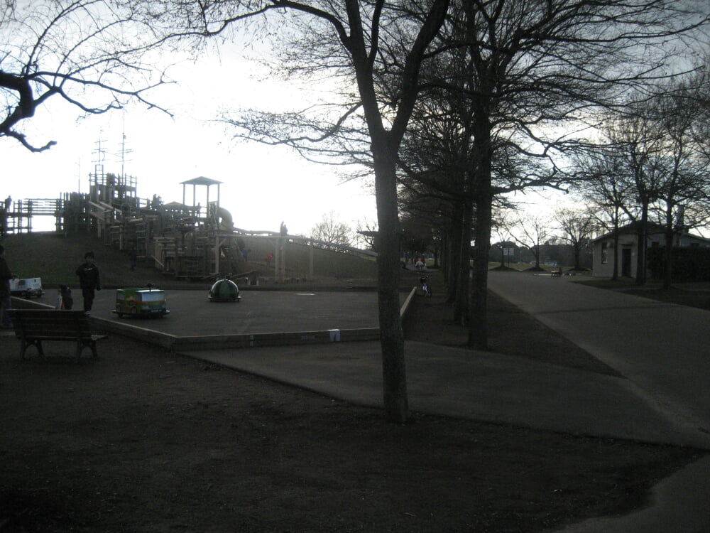 みさと公園の写真7