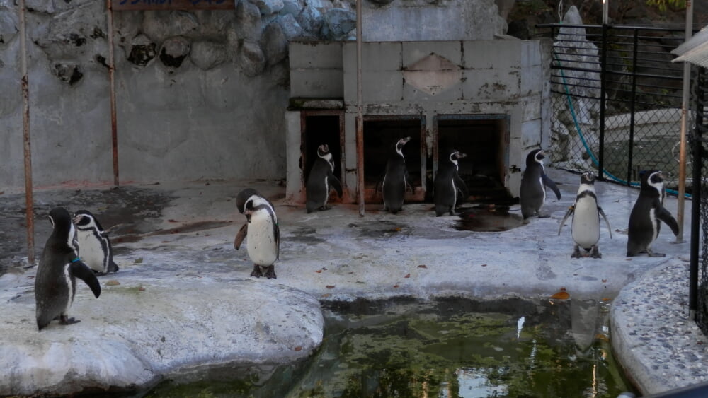 小諸城址（懐古園）の写真2