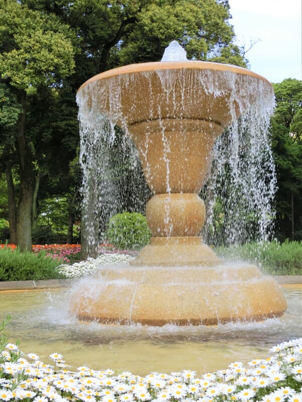 横浜公園の写真2