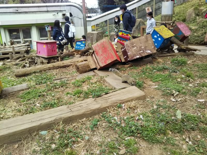 町田リス園の写真2