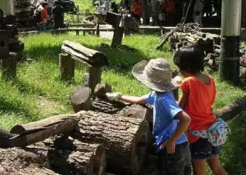 町田リス園の写真1