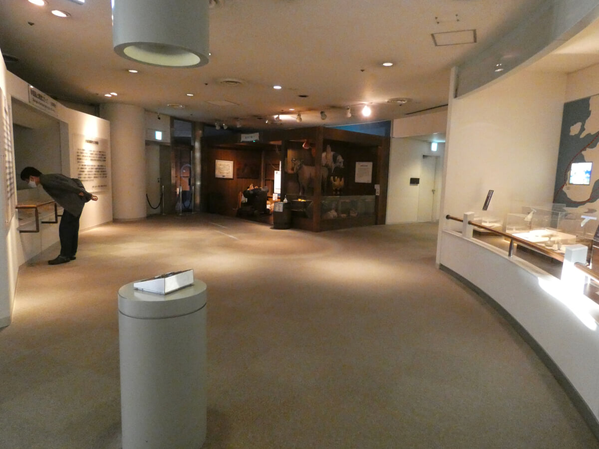 名古屋海洋博物館の写真5