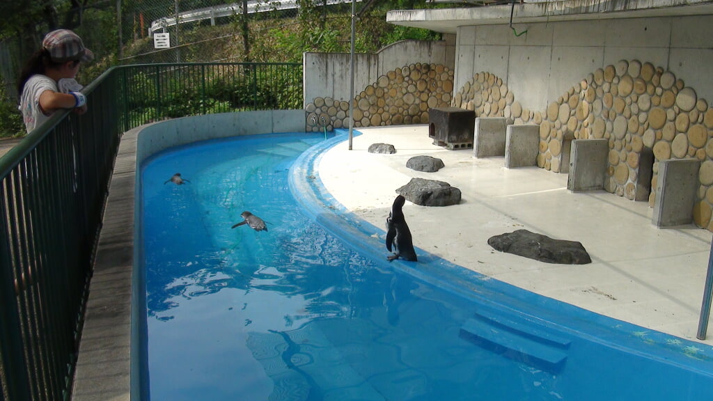 桐生が岡動物園の写真6