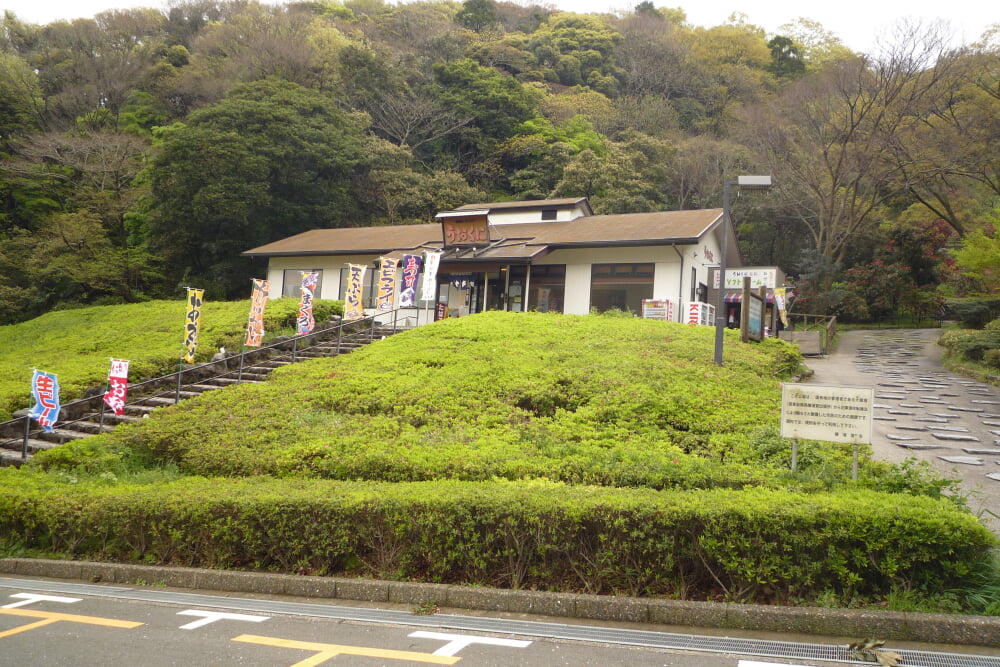 くりはま花の国の写真3