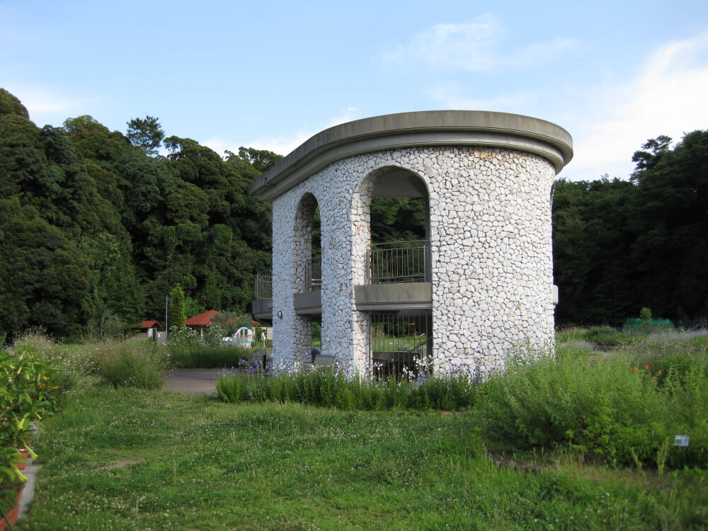 くりはま花の国の写真4