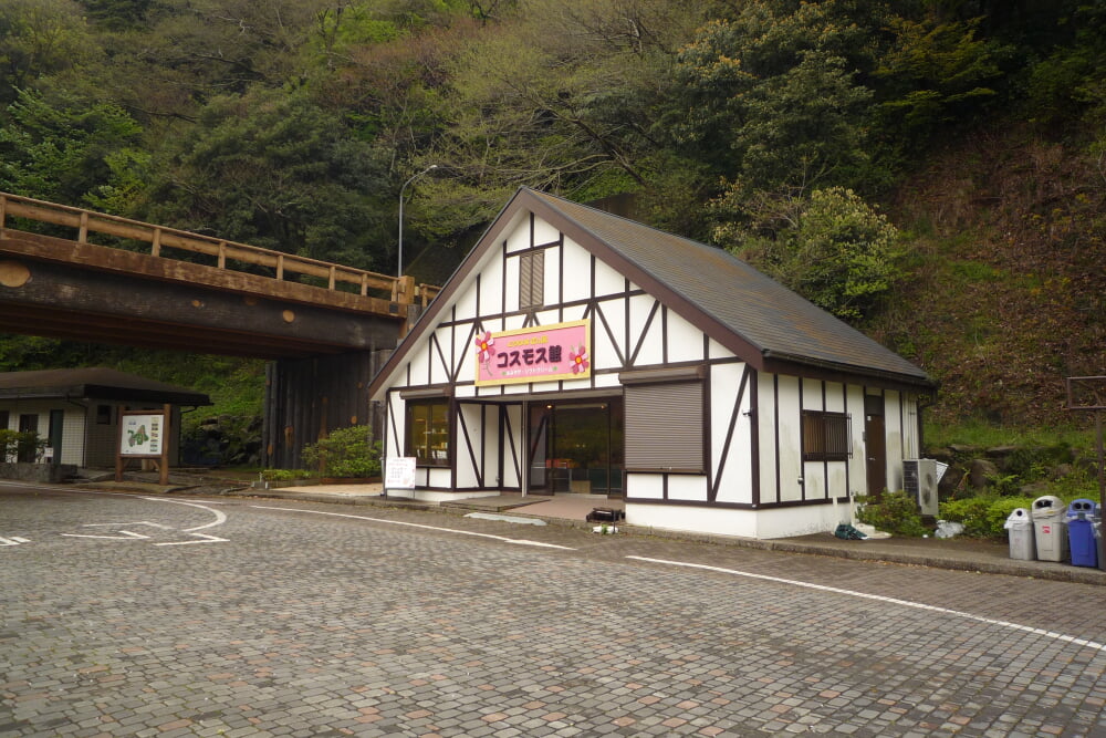 くりはま花の国の写真6