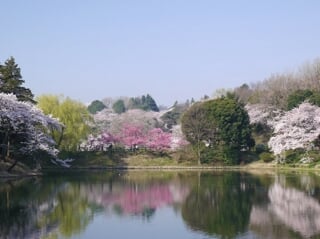 神奈川県立 三ツ池公園の写真5