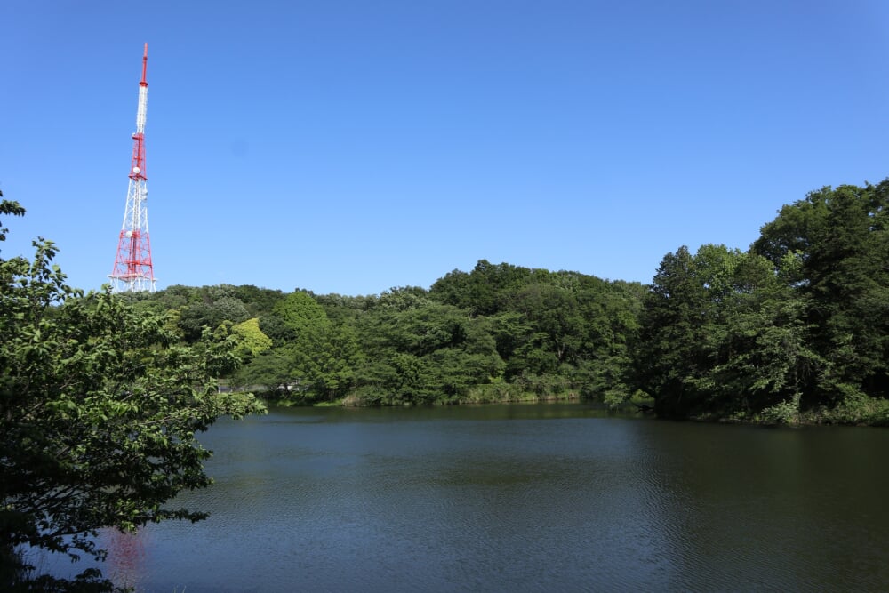 神奈川県立 三ツ池公園の写真7