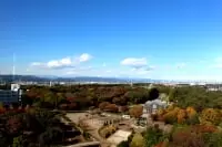 相模原麻溝公園