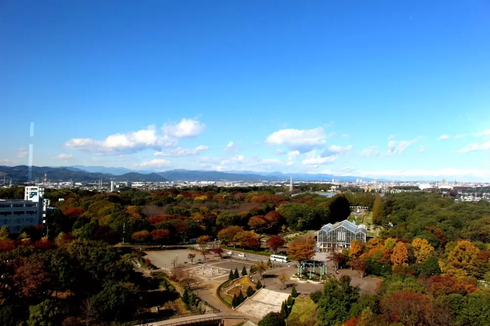 相模原麻溝公園の写真1