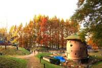 トーベ・ヤンソンあけぼの子どもの森公園