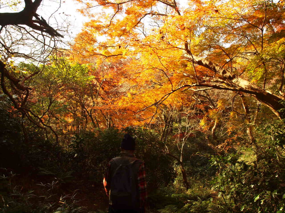 獅子舞谷の写真4
