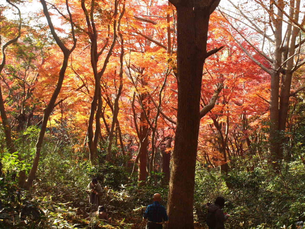 獅子舞谷の写真6