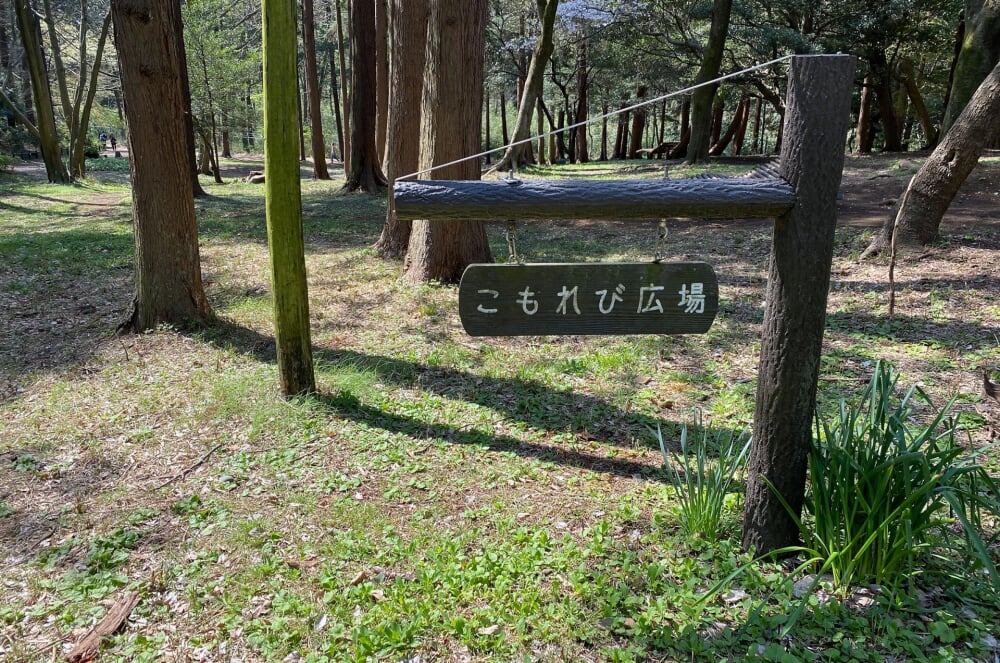 泉の森公園の写真2