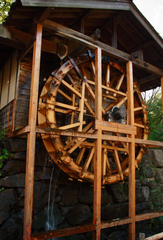 泉の森公園の写真3