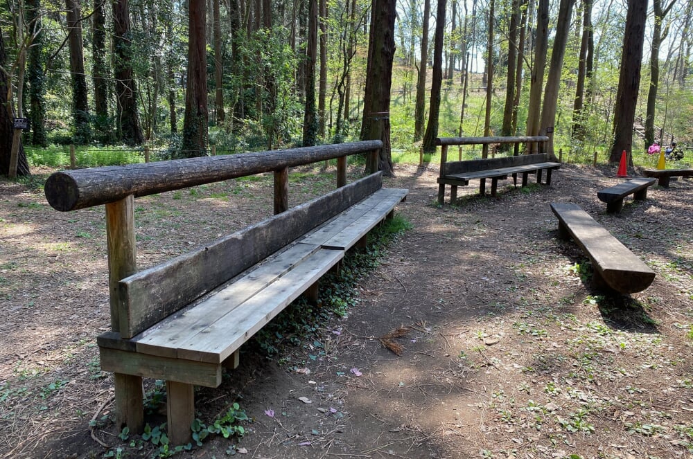 泉の森公園の写真6