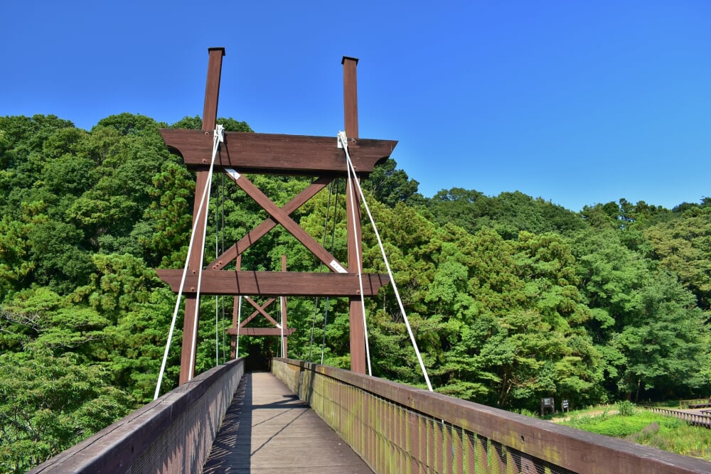 泉の森公園の写真1
