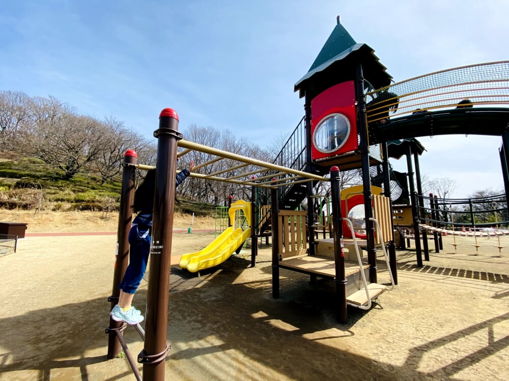 伊勢原市 総合運動公園の写真3