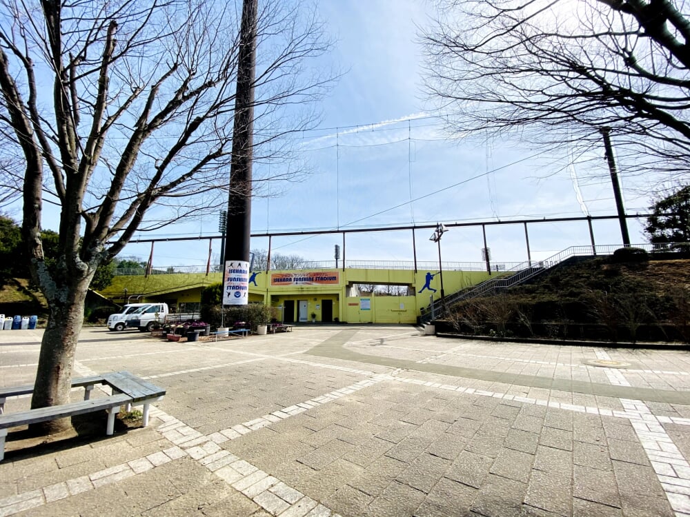 伊勢原市 総合運動公園の写真10