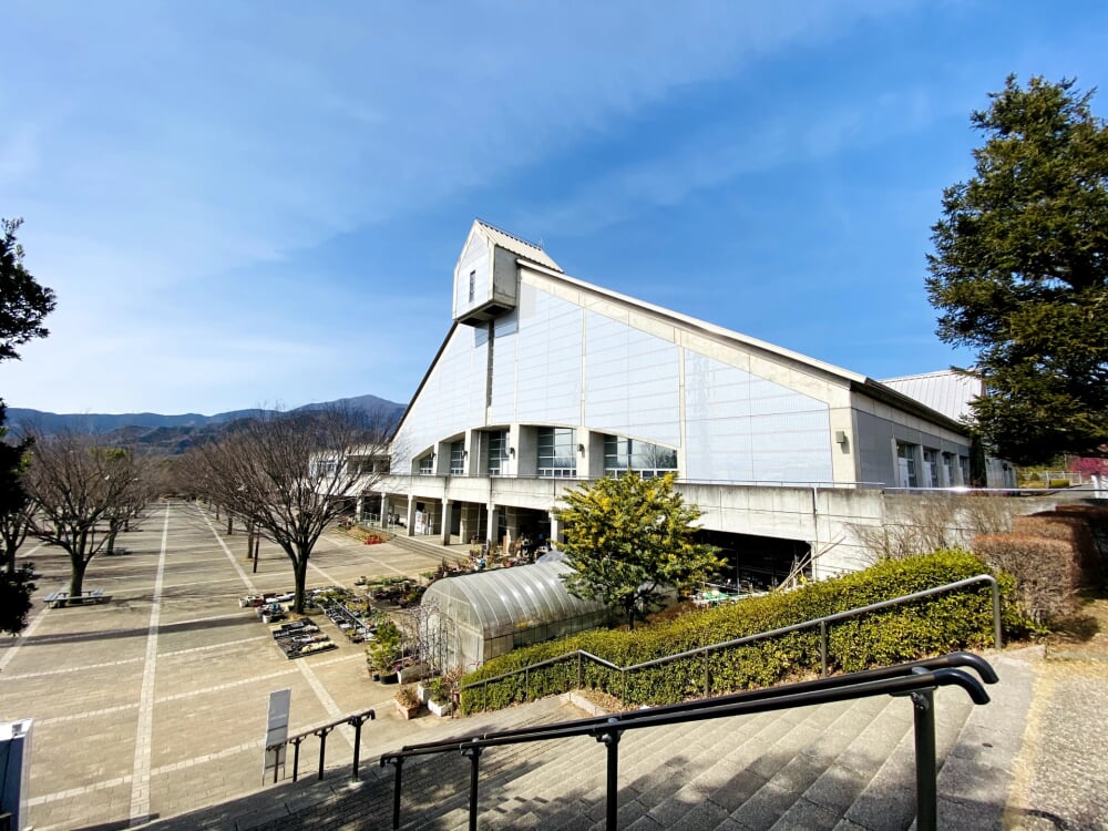 伊勢原市 総合運動公園の写真11