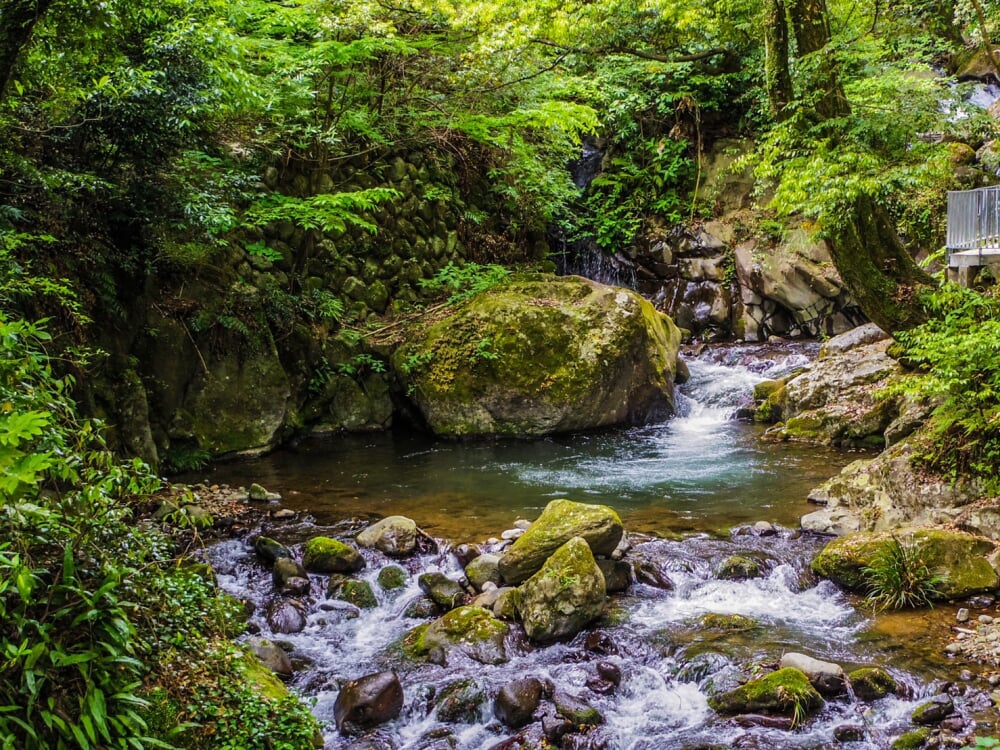 湯河原万葉公園の写真2