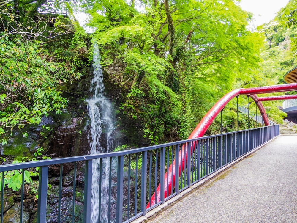 湯河原万葉公園の写真3