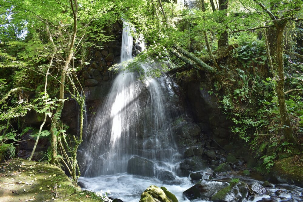 湯河原万葉公園の写真7