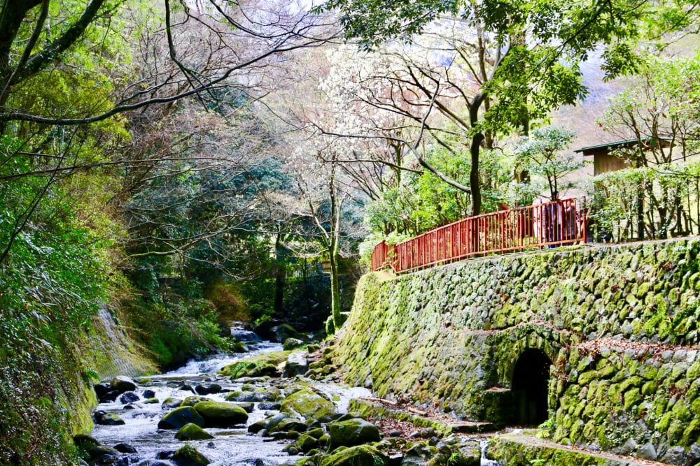 湯河原万葉公園の写真1