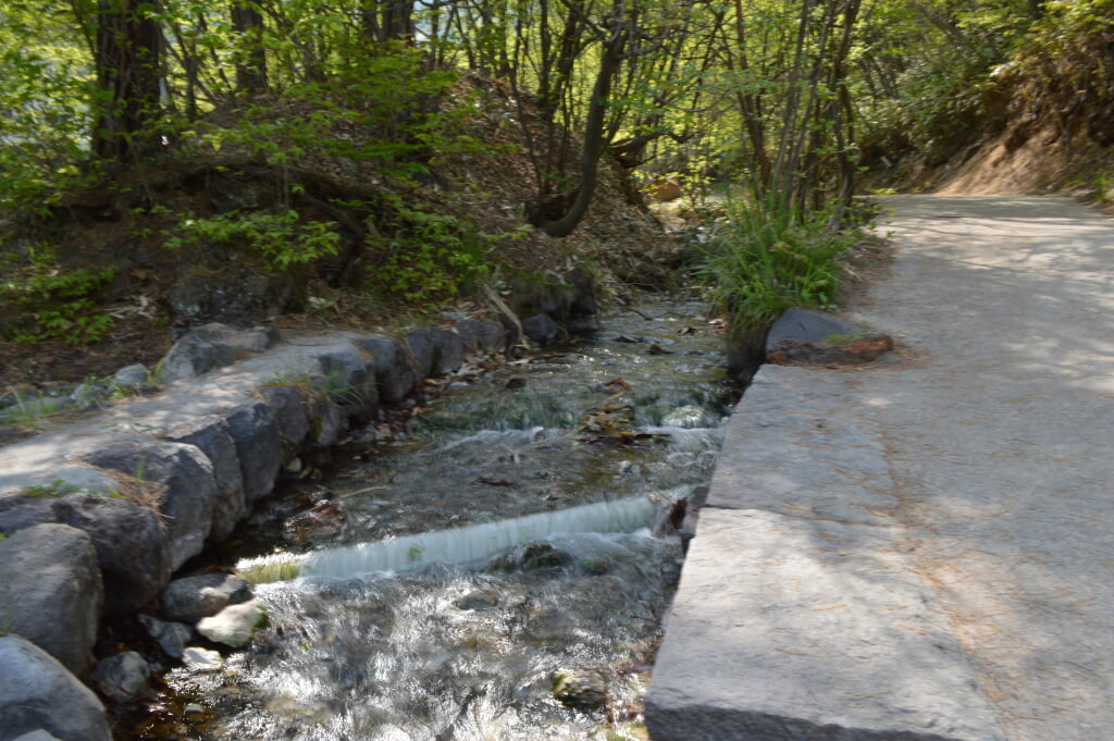 西の河原公園の写真3