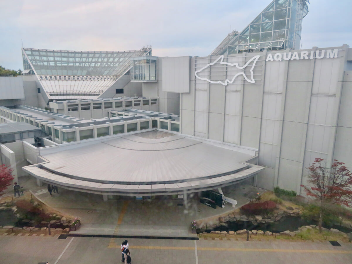 河川環境楽園 オアシスパークの写真2