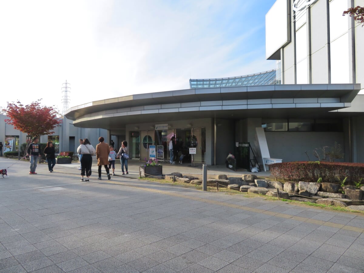 河川環境楽園 オアシスパークの写真3