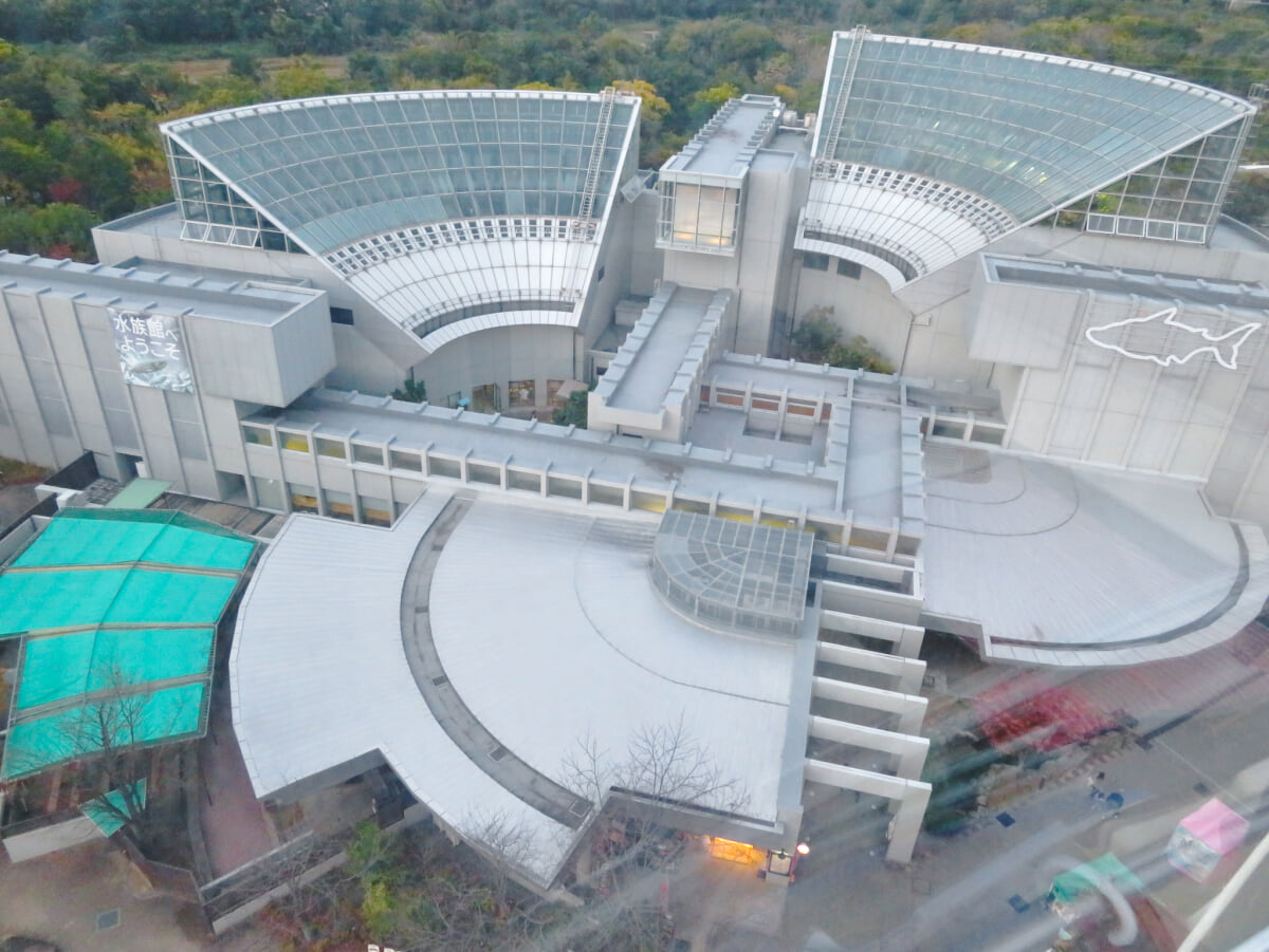 河川環境楽園 オアシスパークの写真8